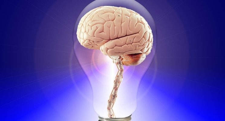 Brain in a light bulb Brain in a light bulb