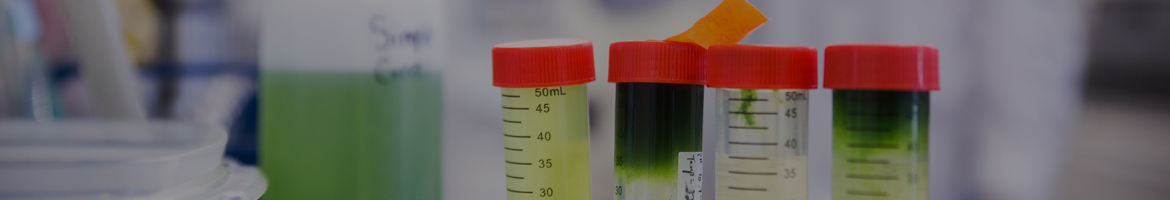 Science Policy