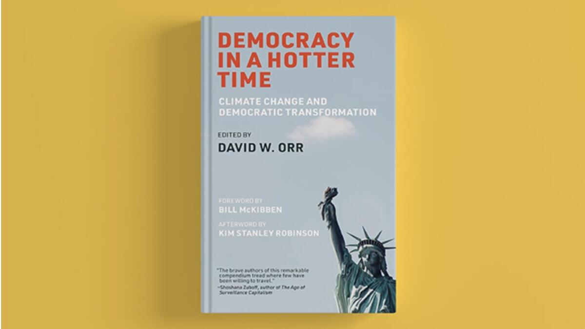 A gray book cover featuring the Statue of Liberty and a title in red font. 