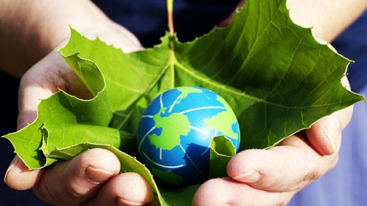 Earth and leaf in two hands
